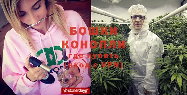 молекула духа Михайловск