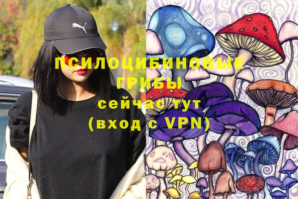 стафф Михайлов