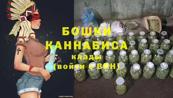 стафф Михайлов