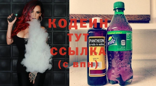 молекула духа Михайловск