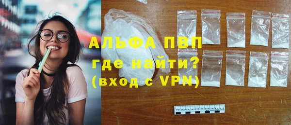 стафф Михайлов