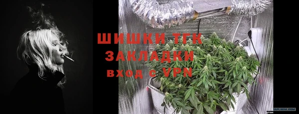 стафф Михайлов