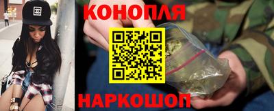 крисы Апшеронск