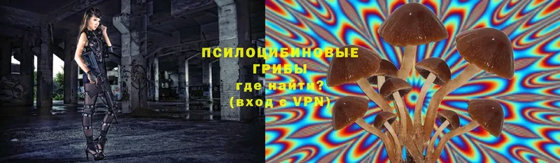 Галлюциногенные грибы MAGIC MUSHROOMS  МЕГА зеркало  Мурманск 