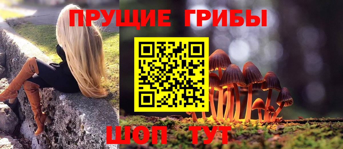 Псилоцибиновые грибы Cubensis  купить закладку  Мурманск  Вход с VPN  Псилоцибиновые грибы мухоморы 