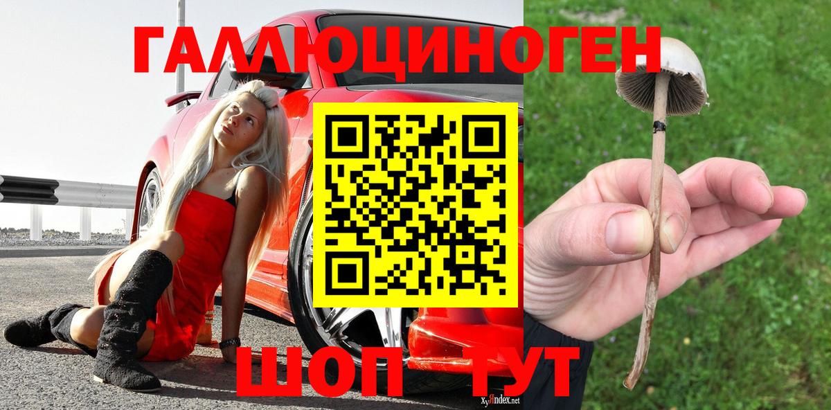 Галлюциногенные грибы GOLDEN TEACHER  как найти закладки  Мурманск 