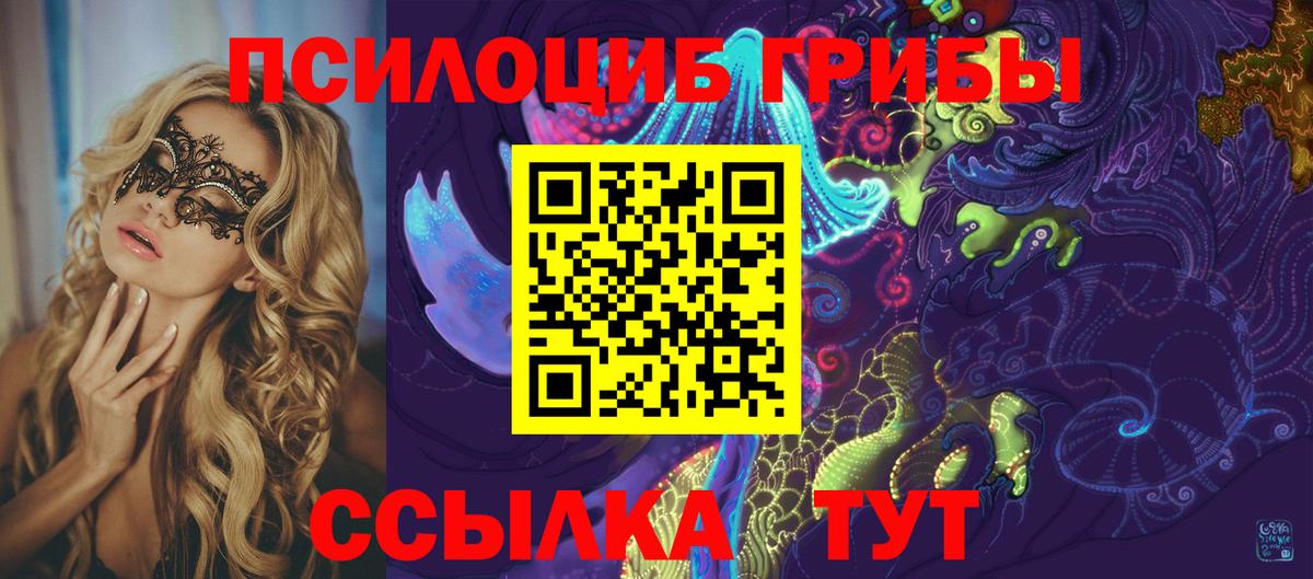 Псилоцибиновые грибы Psilocybe Мурманск